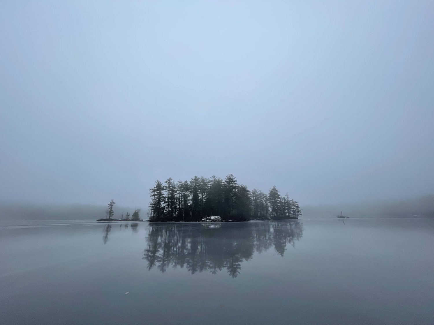 A small pine-covered island mirrored in still, foggy water